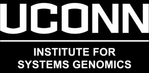 ISG Logo