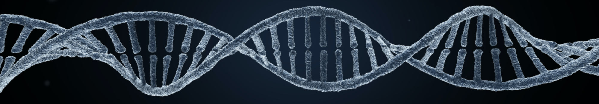 DNA double helix