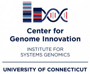 CGI Logo
