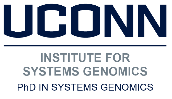ISG Logo